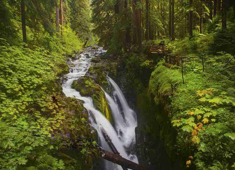 南京师范大学泰州学院校花夏星辞