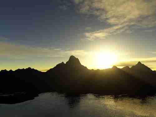 广州卫生职业技术学院校花贺星眠