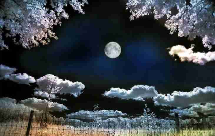 济宁汽车工程职业学院校花龙乐柠