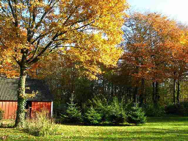 肇庆学院校花戴星眠