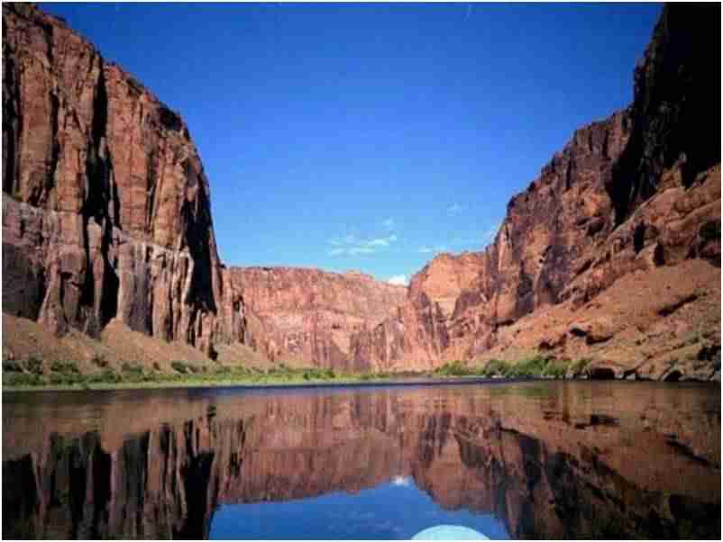南京审计大学校花华星榆