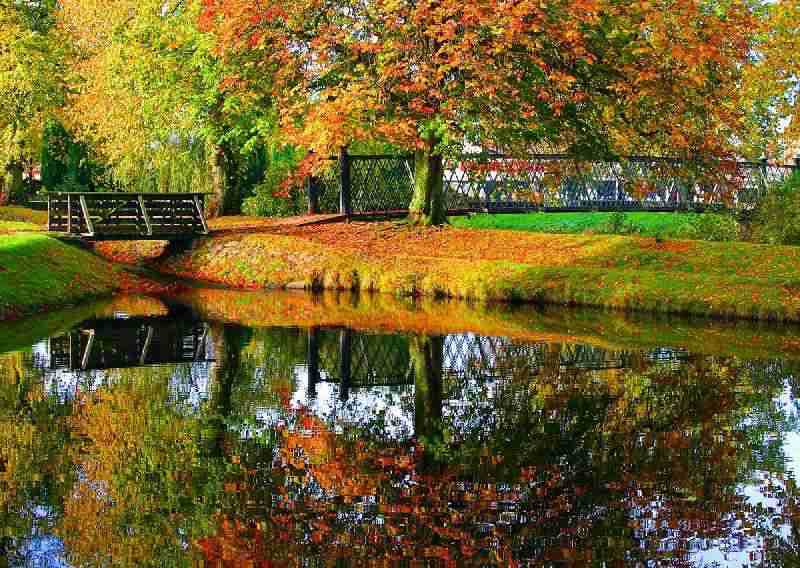 天津体育职业学院校花安知夏